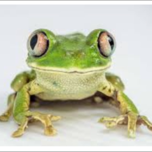 Meet your Posher, Anders - Picture 1 of 1